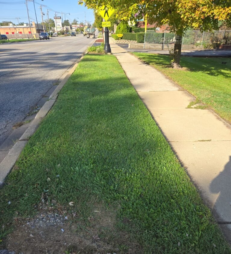 Imagen de WhatsApp 2025-02-14 a las 09.47