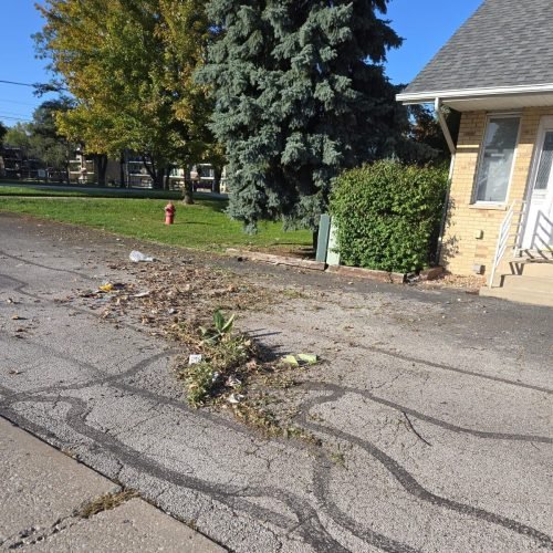 Imagen de WhatsApp 2025-02-14 a las 09.47.55_3f432ce0