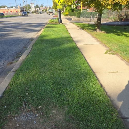 Imagen de WhatsApp 2025-02-14 a las 09.47.55_8447ca49