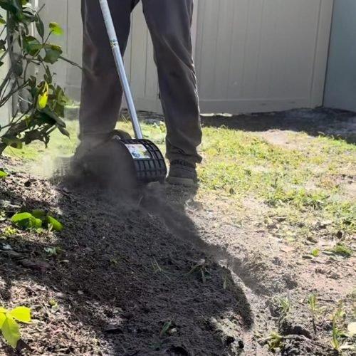 Imagen de WhatsApp 2025-02-14 a las 13.04.08_685b9918