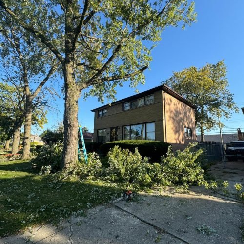 Imagen de WhatsApp 2025-02-14 a las 13.04.52_ce8663fb