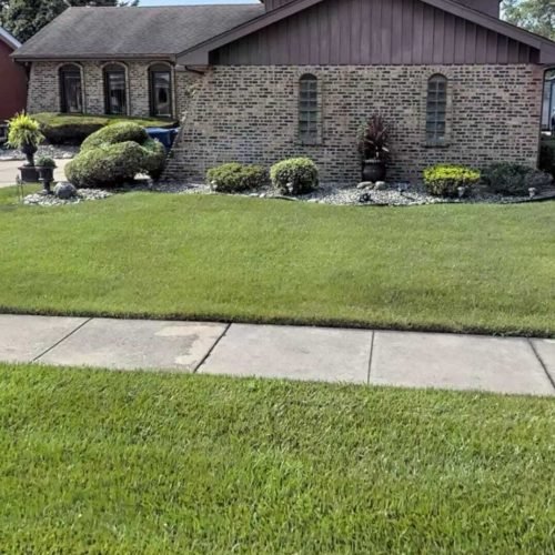 WhatsApp Image 2025-04-01 at 5.51.18 PM